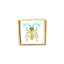 Preserved Insect