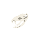 Snecko Skull