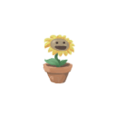 Happy Flower